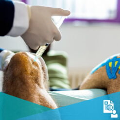 an athlete receiving a plasma injection